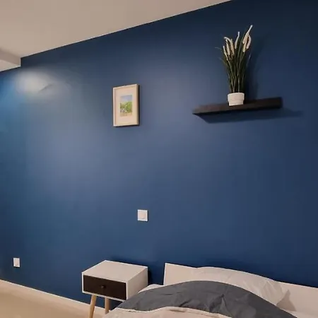 Appartement Avec Douche Privative Dans Partage - Metro - Wifi Toulouse